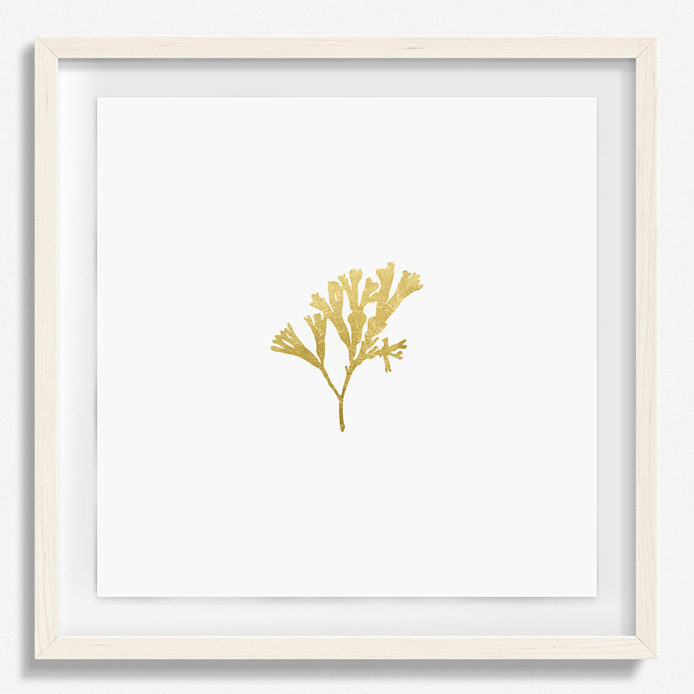 Sea Flora 5 - Gold