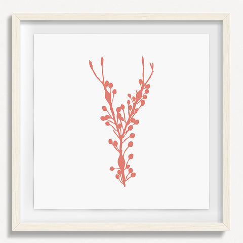 Sea Flora 1 - Pink